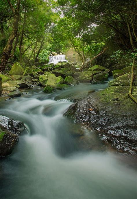 Getaway to Paradise: Magical Brook Camping Ground